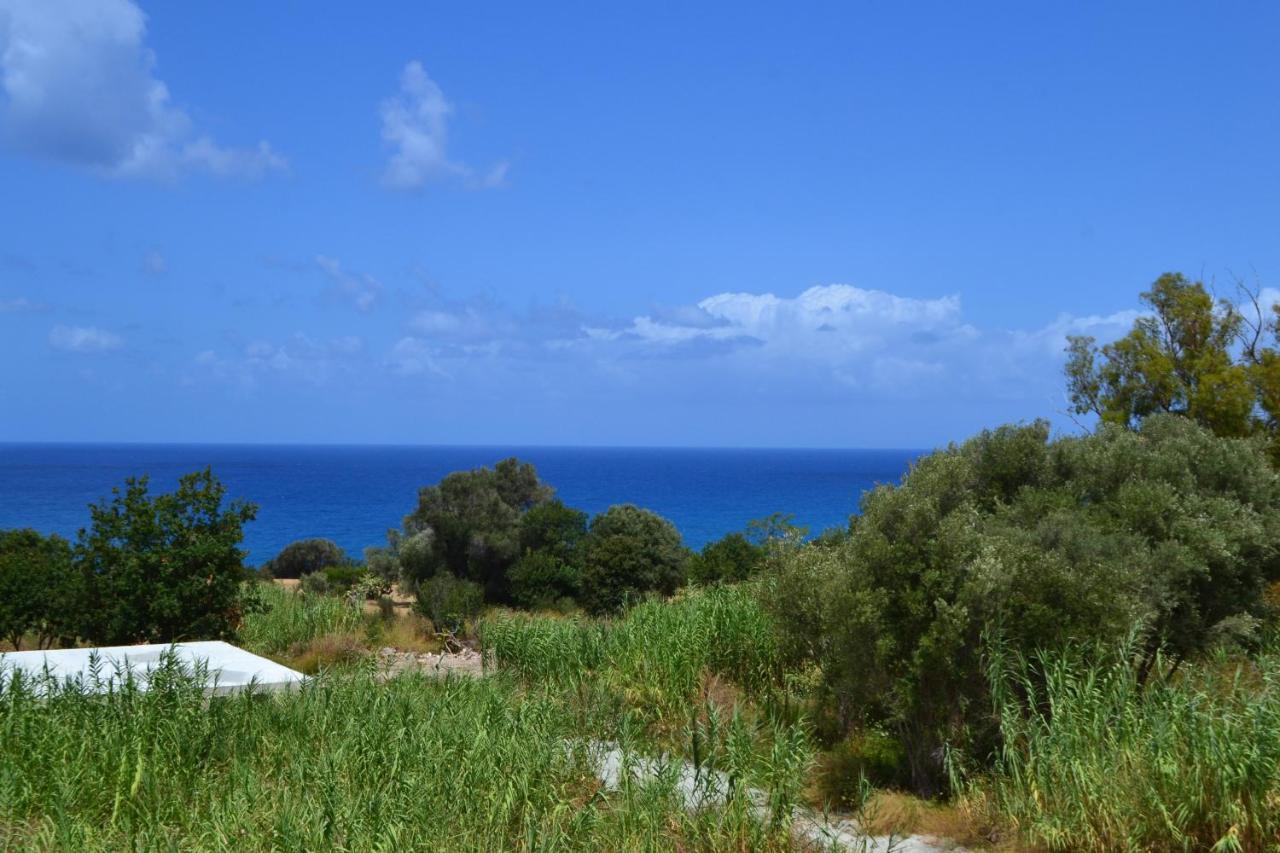 Campus Dei - Tropea Rooms 외부 사진